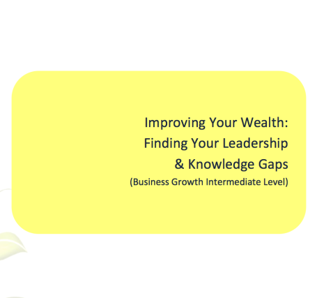 L2G Workbook - Improving your wealth - finding your leadership & knowledge gaps